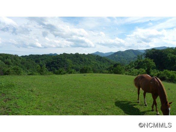 999 Riddle Farm Road Marshall, NC 28753 - Photo 1 of 13