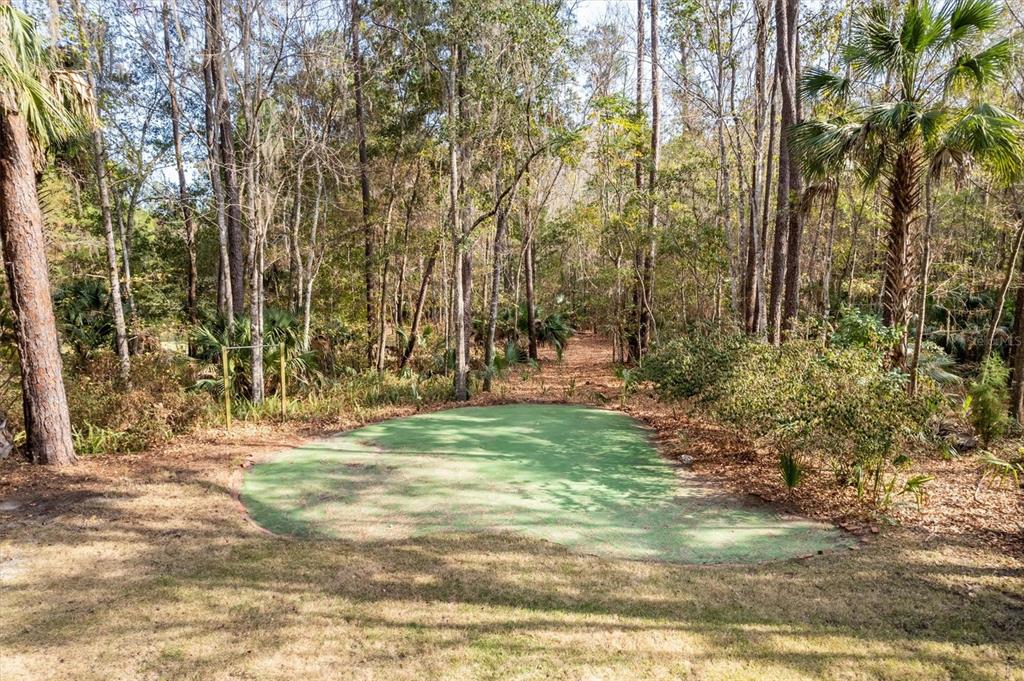 22675 Northwest 75th Avenue Road Micanopy, FL 32667 - Photo 53 of 72