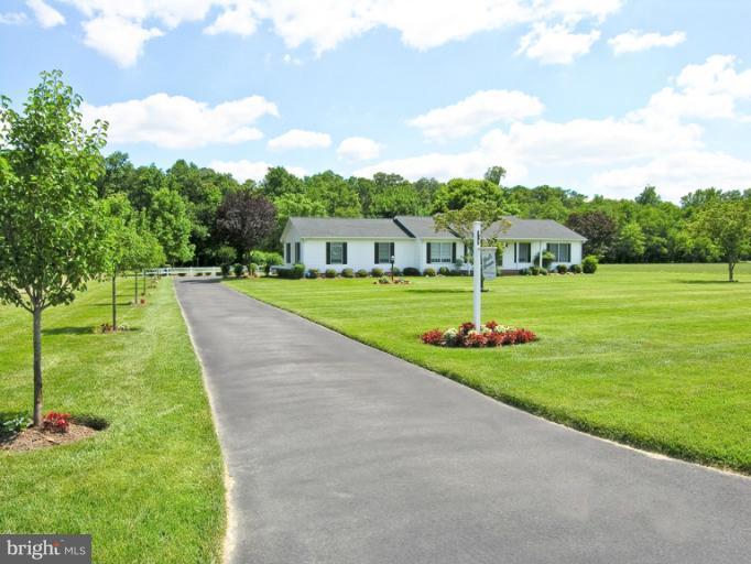 4629 Skinners Run Road Hurlock, MD 21643 - Photo 12 of 15 Paved driveway