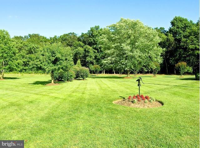 4629 Skinners Run Road Hurlock, MD 21643 - Photo 3 of 15 Yard