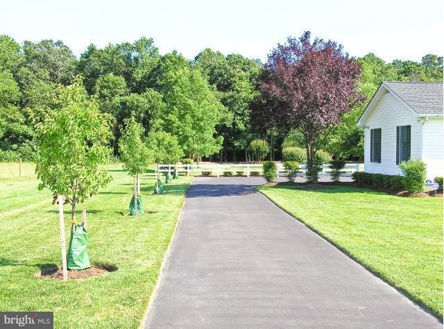 4629 Skinners Run Road Hurlock, MD 21643 - Photo 6 of 15 Driveway