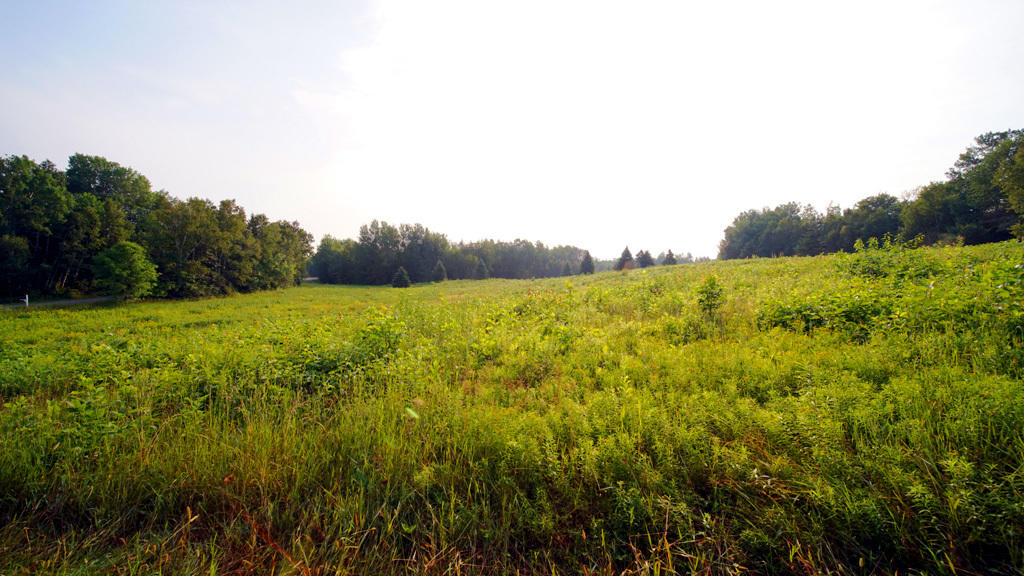 Lot 9-1 New Limerick Road Houlton, ME 04730 - Photo 28 of 40 leisner-maine-land-17