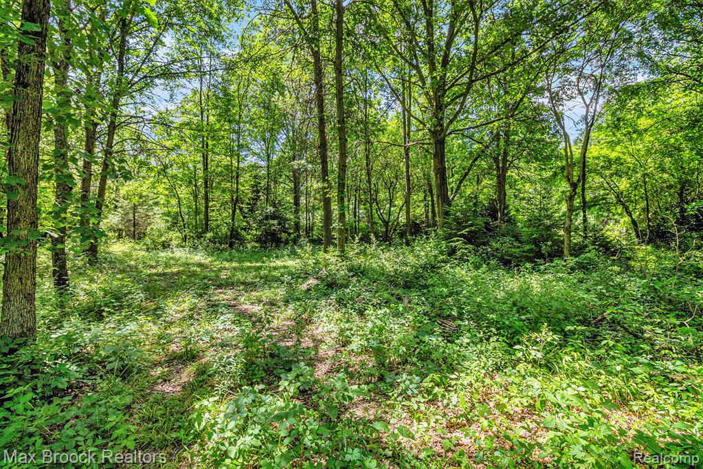 7132 North Oak Road Davison, MI 48423 - Photo 6 of 15
