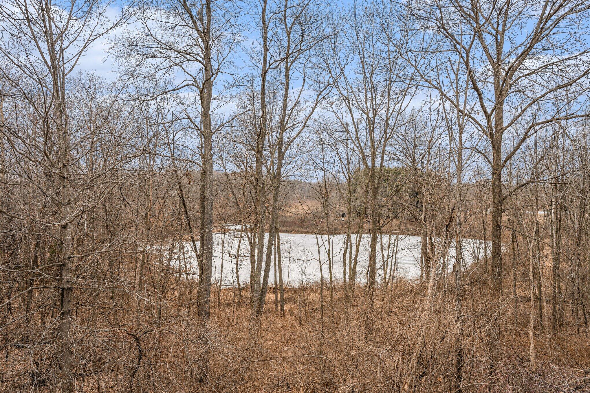 7776 Taylor Ridge Drive Delton, MI 49046 - Photo 24 of 26 027_file_2120