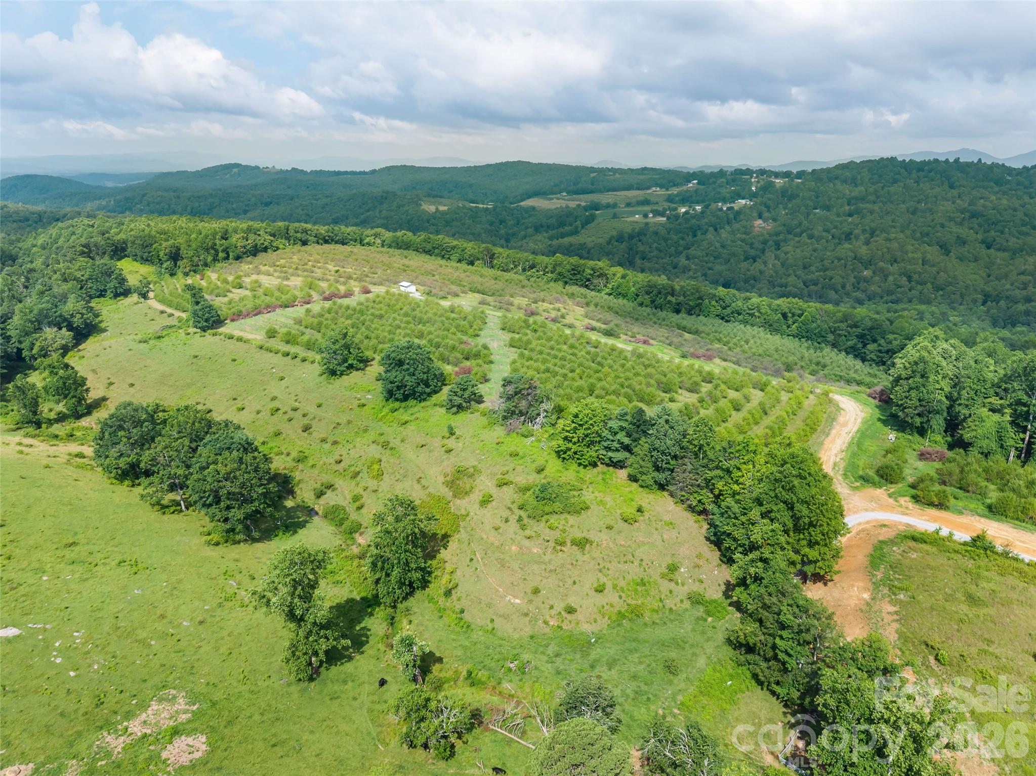 0 Summer Road, Unit 2 Hendersonville, NC 28792 - Photo 16 of 16