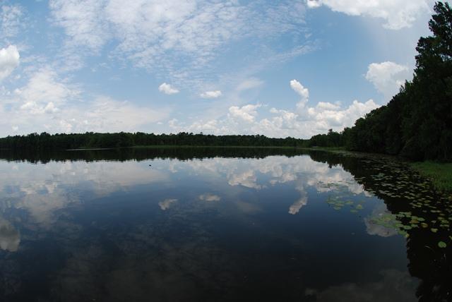 4534 McCall Bridge Road Quincy, FL 32351 - Photo 21 of 25 Gallery Image 21