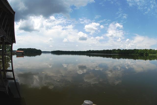 4534 McCall Bridge Road Quincy, FL 32351 - Photo 23 of 25 Gallery Image 23
