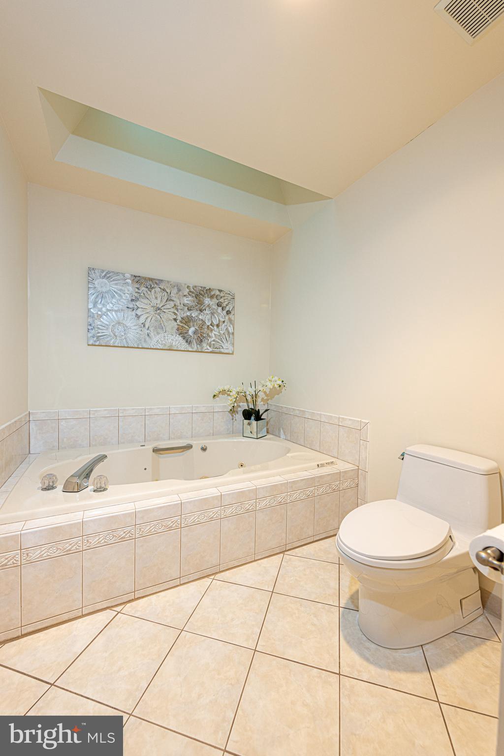 9702 Rambling Ridge Court Fairfax Station, VA 22039 - Photo 30 of 78 Whirlpool tub to relax in