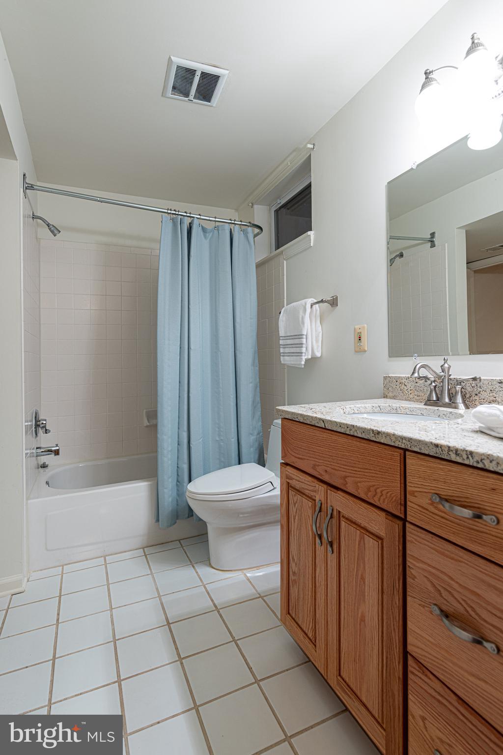 9702 Rambling Ridge Court Fairfax Station, VA 22039 - Photo 43 of 78 Full lower level bathroom with dual doors