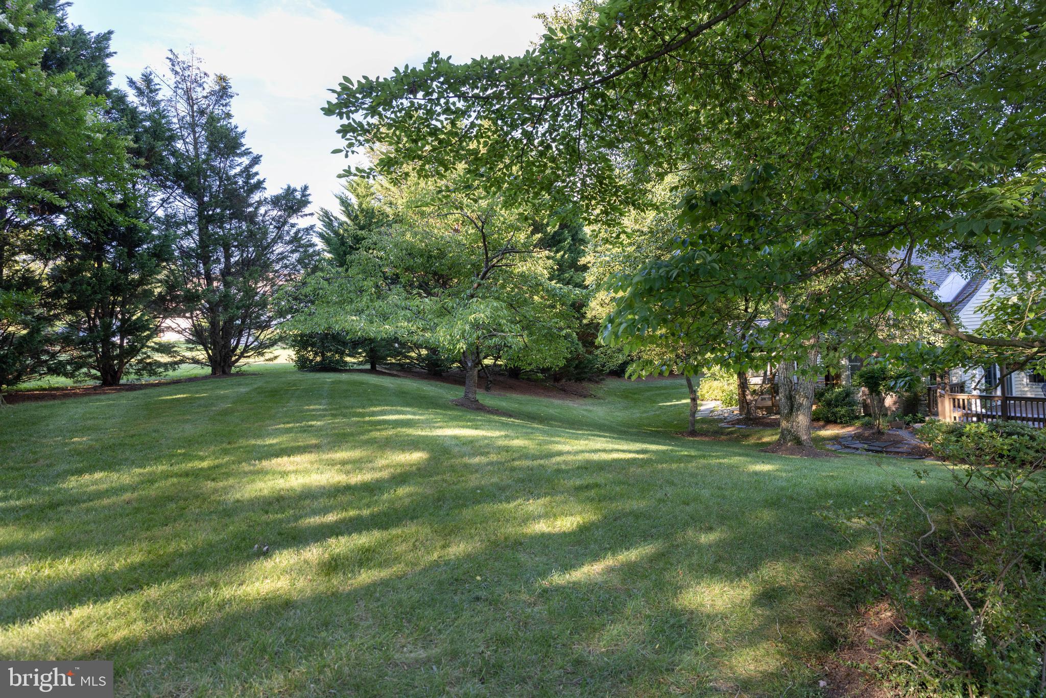 9702 Rambling Ridge Court Fairfax Station, VA 22039 - Photo 55 of 78 A soccer game? frisbee toss? So much fun!