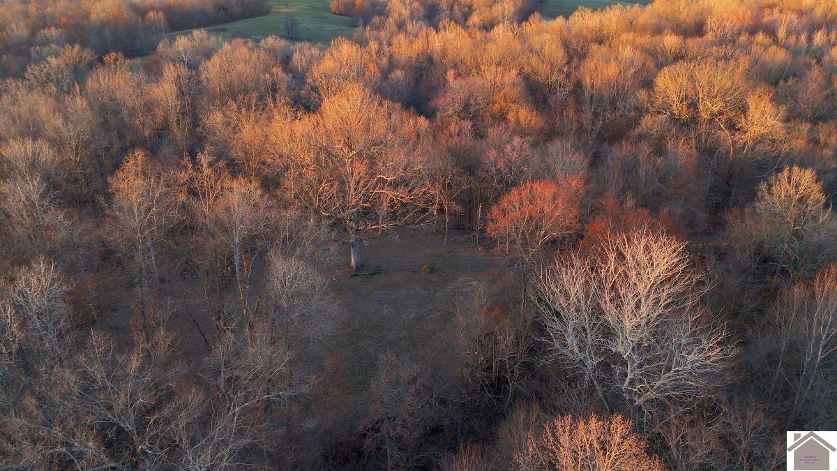 0 Wray Road Wingo, KY 42088 - Photo 38 of 39 Photo 38