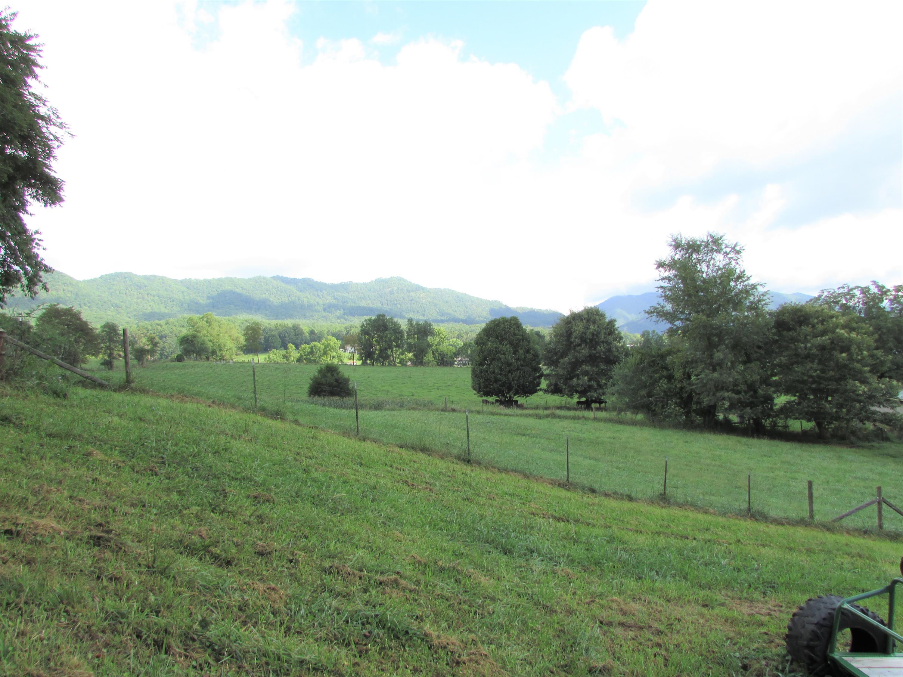 1170 Rittertown Road Hampton, TN 37658 - Photo 12 of 28 IMG_8040