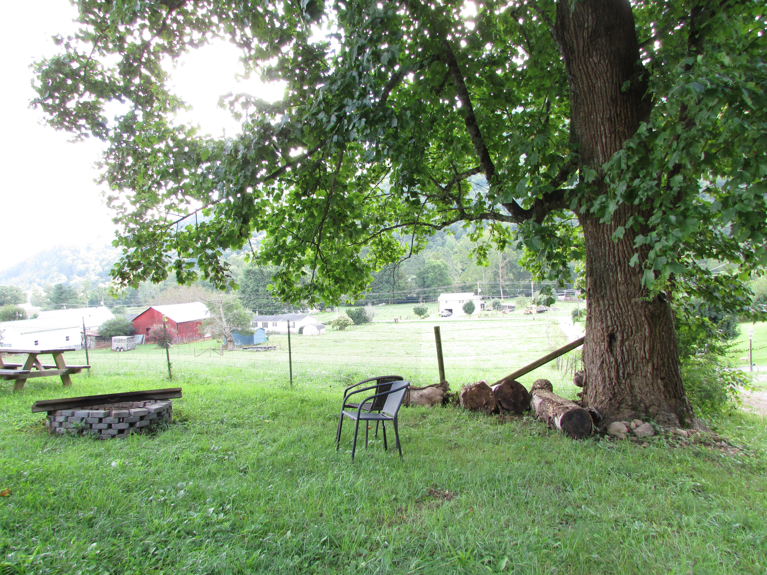 1170 Rittertown Road Hampton, TN 37658 - Photo 8 of 28 IMG_8036