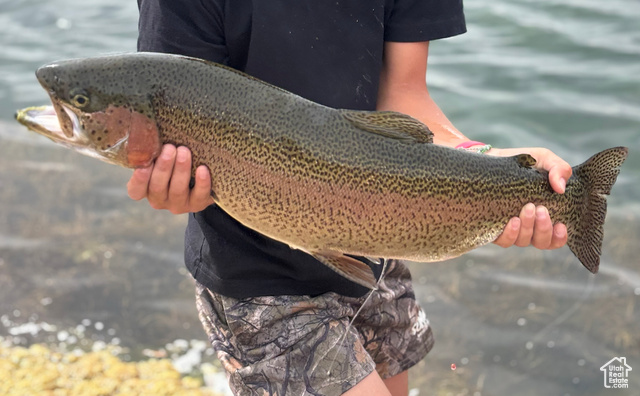 Undisclosed Address Monroe, UT 84754 - Photo 5 of 39 Fish caught in pond