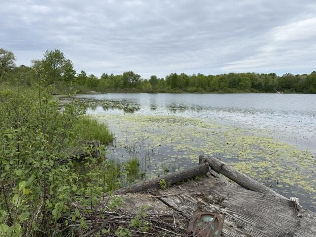 8468 East Pierce Road Hesperia, MI 49421 - Photo 5 of 8 IMG_3030