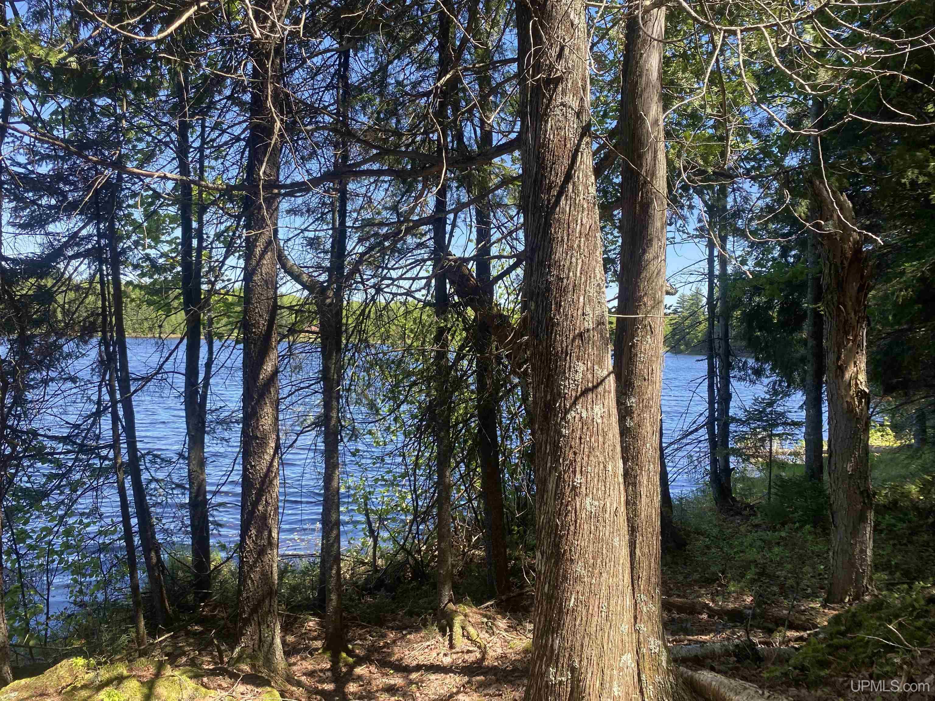 13-14 Grace Lake Road Watersmeet, MI 49969 - Photo 4 of 23