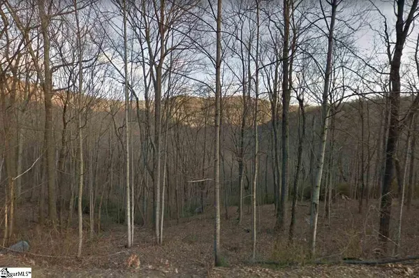 $69,900 | Outcrop Trail, Landrum, SC 29356
