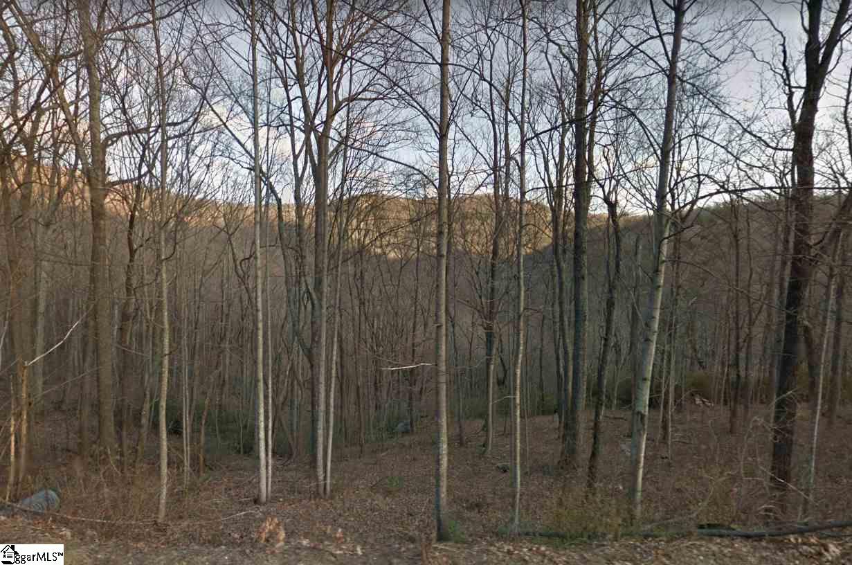Outcrop Trail Landrum, SC 29356 - Photo 1 of 2