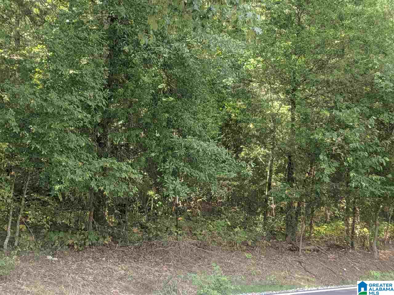 0 Old Broadwell Mill Road Jacksonville, AL 36265 - Photo 12 of 22