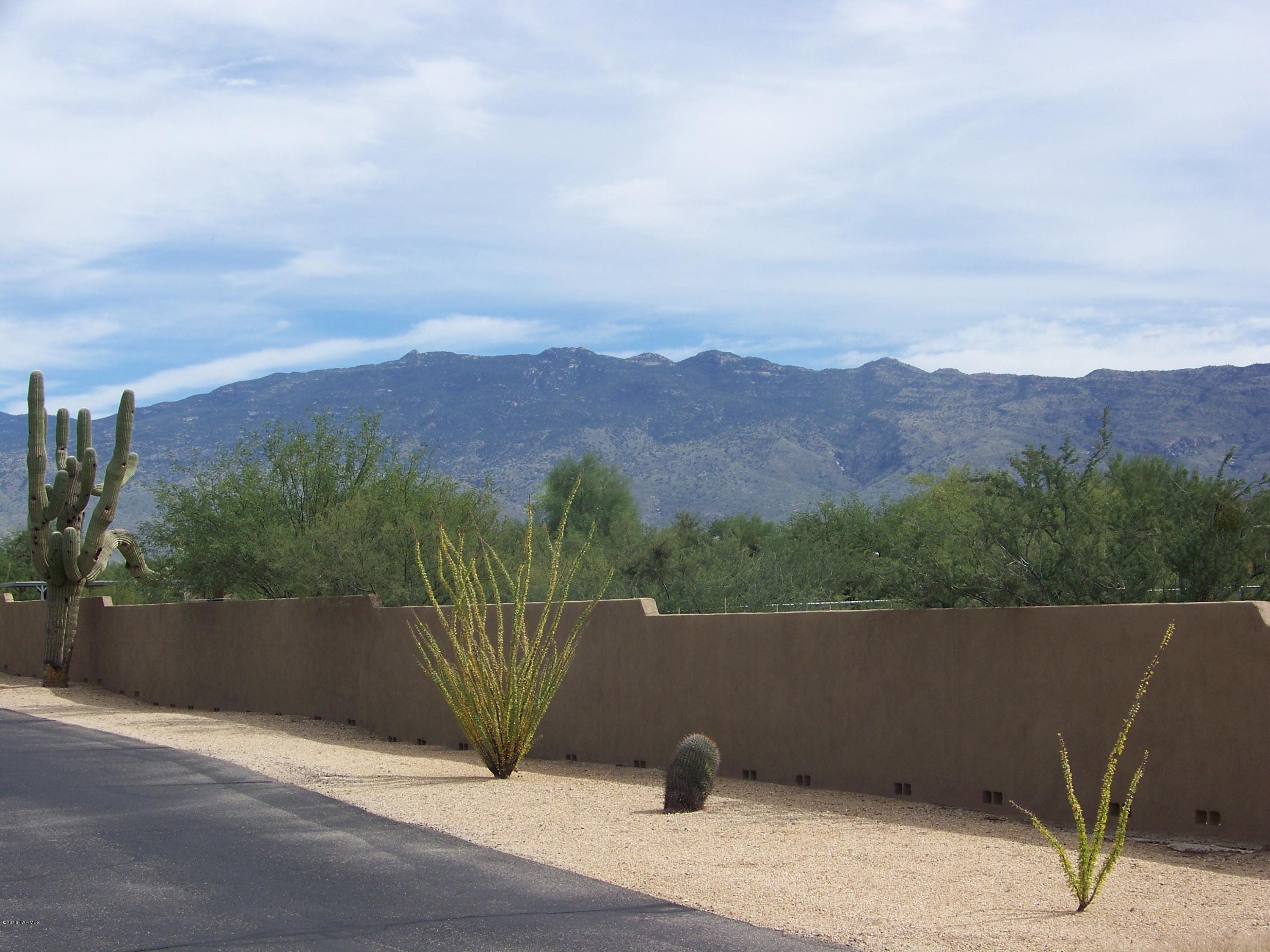1326 North Tanque Verde Loop Road, Unit 1 Tucson, AZ 85749 - Photo 4 of 47
