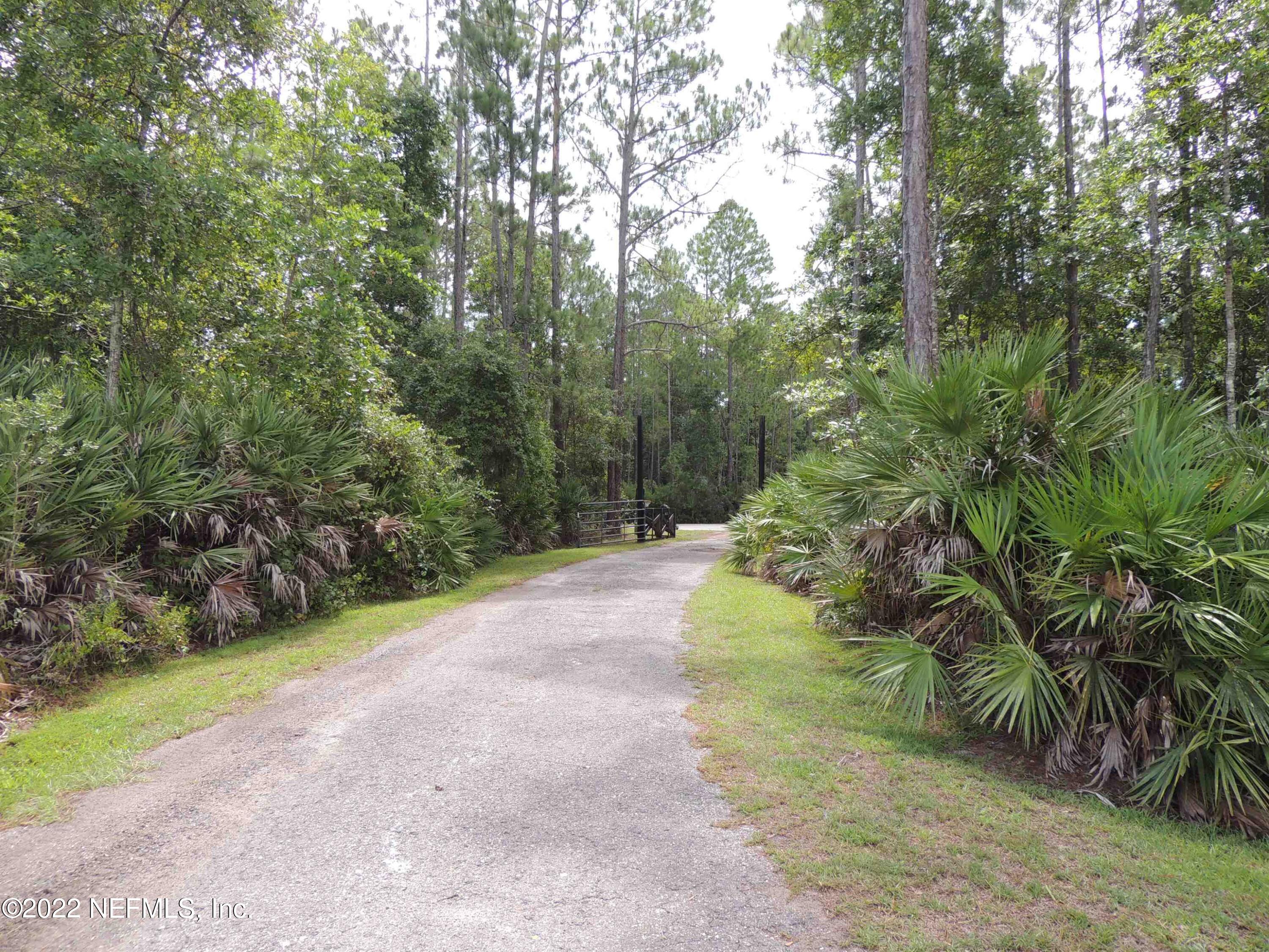 1801 Forbes Road St. Augustine, FL 32092 - Photo 26 of 28 a view of a road with plants and trees