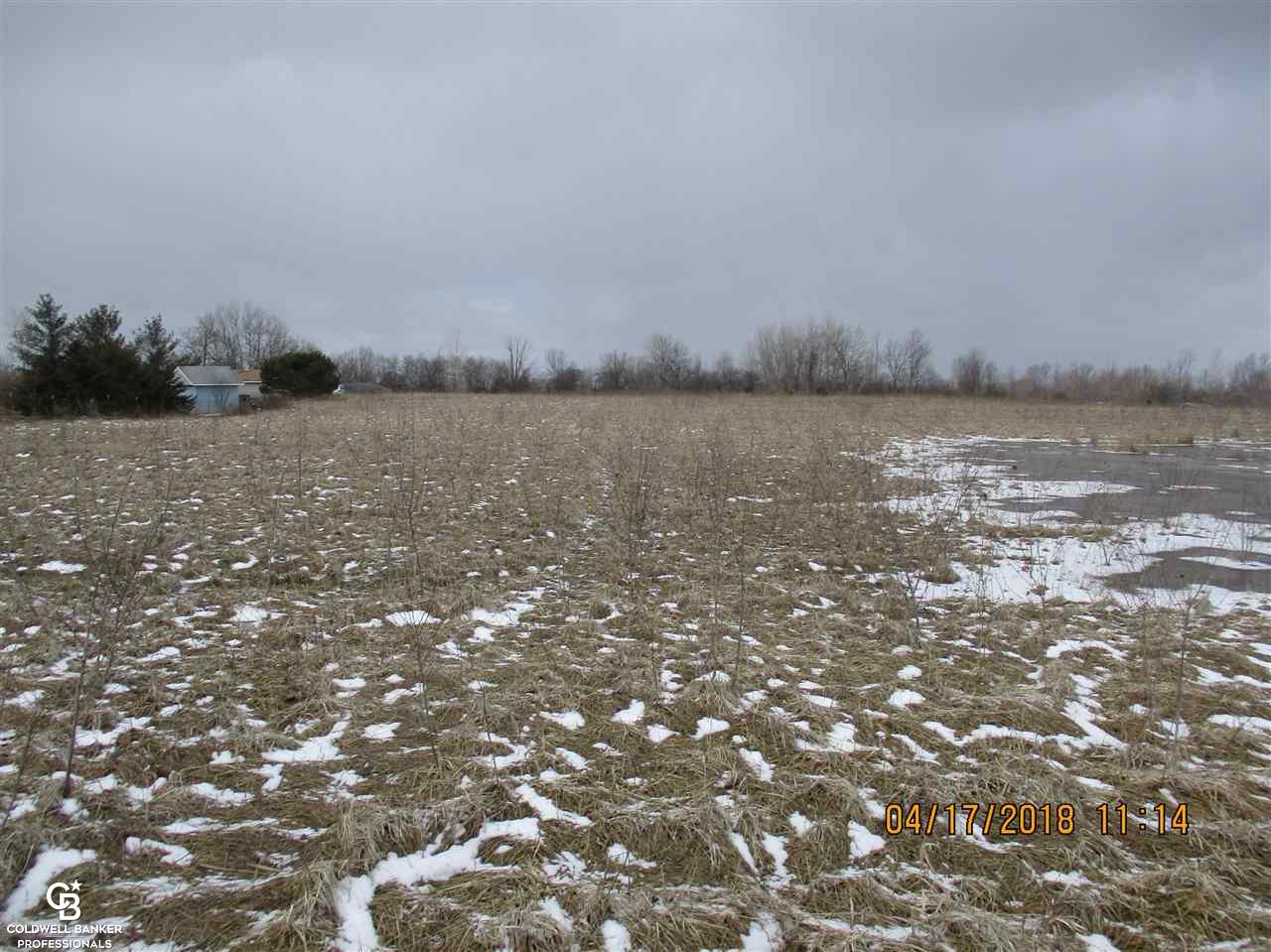 0 Arendt Road Yale, MI 48097 - Photo 1 of 11