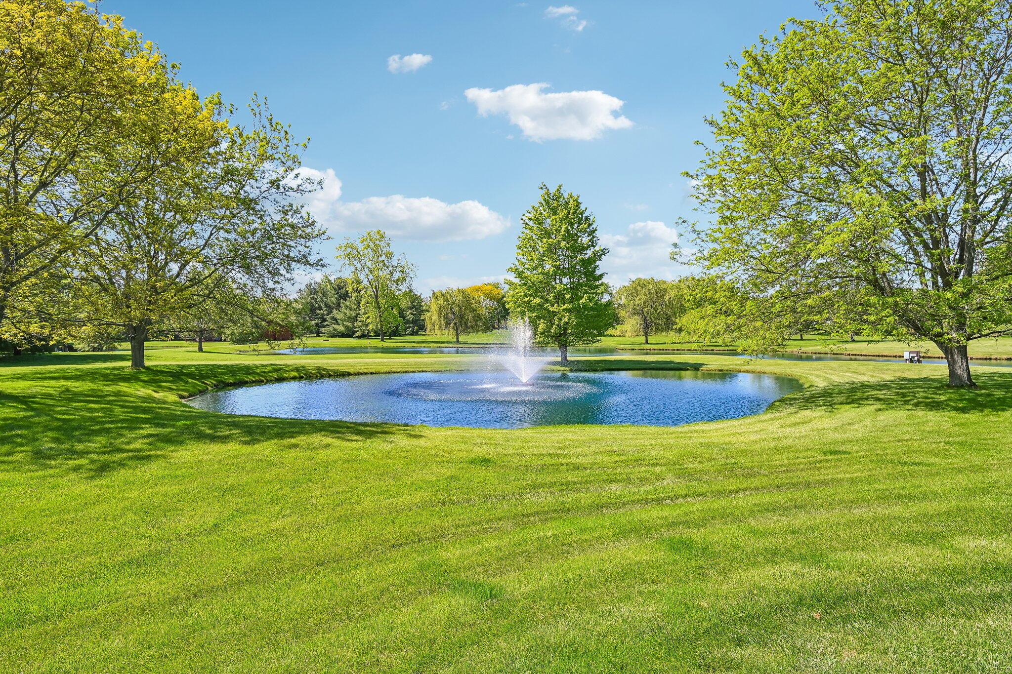 8310 Dublin Road Delaware, OH 43015 - Photo 44 of 62 Private Pond