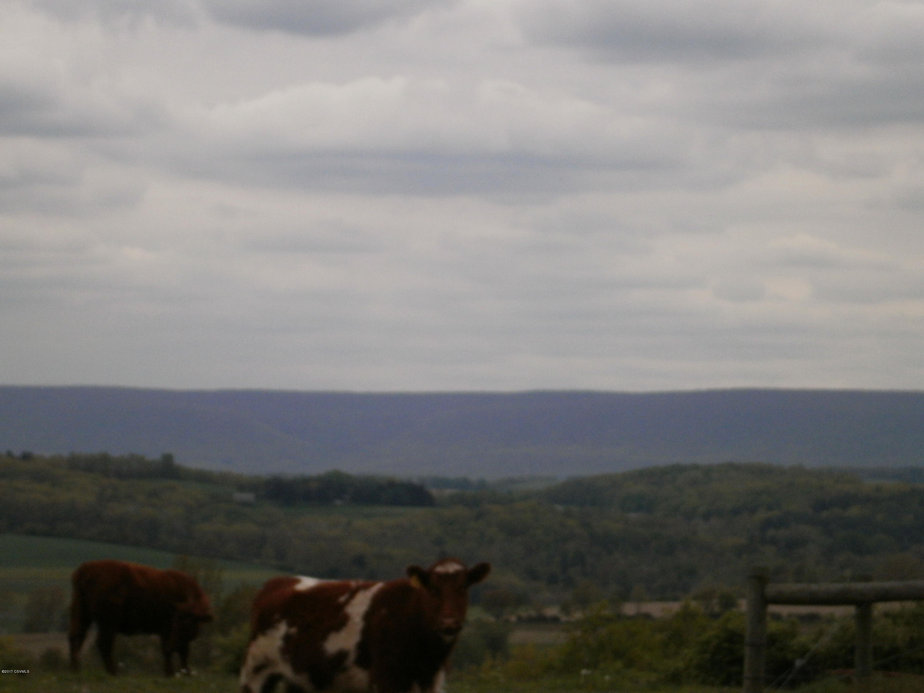 Honeytown Road Stillwater, PA 17878 - Photo 1 of 5