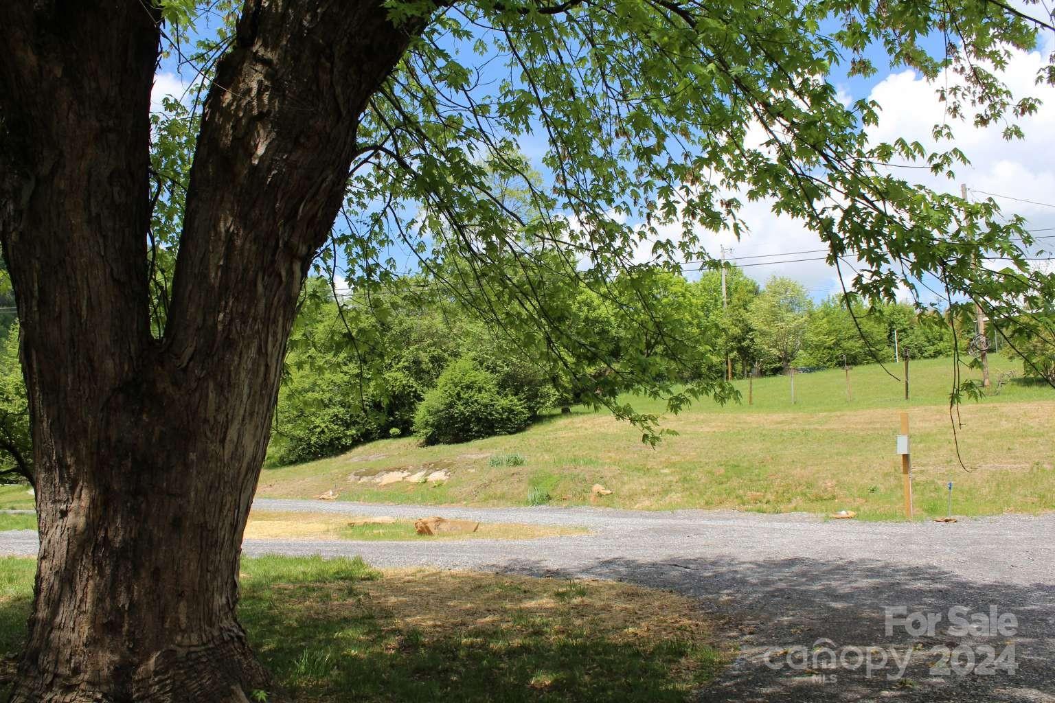 505 Mundy Field Road Canton, NC 28716 - Photo 13 of 22 a view of a yard with a tree