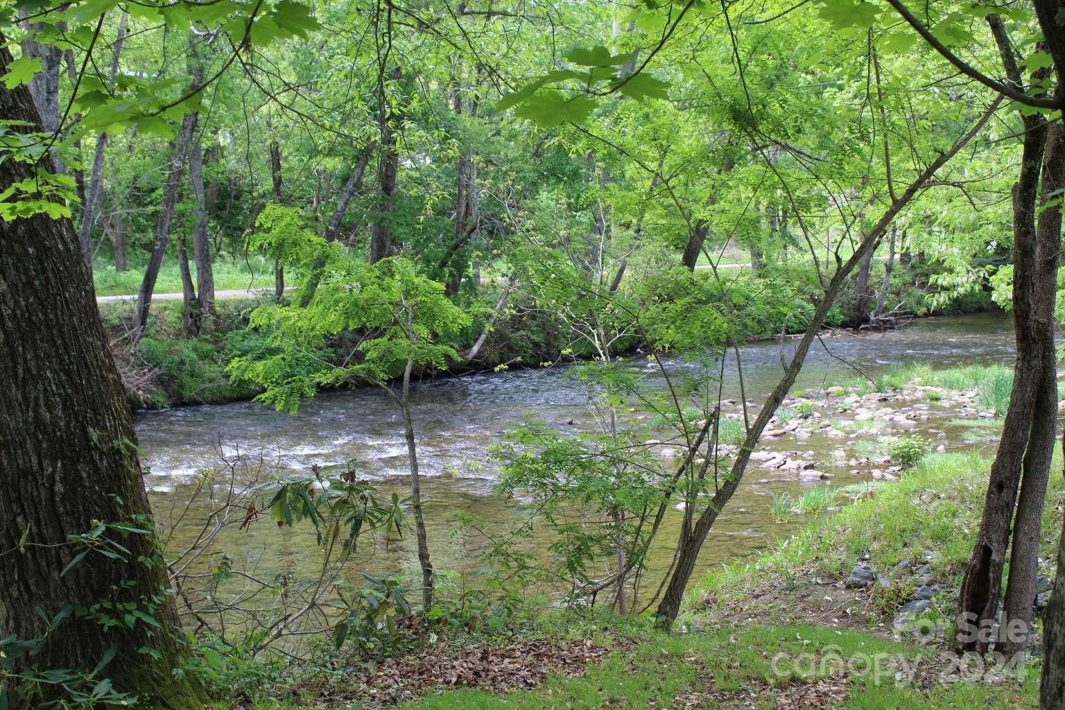 505 Mundy Field Road Canton, NC 28716 - Photo 18 of 22 a backyard of a house with lots of green space