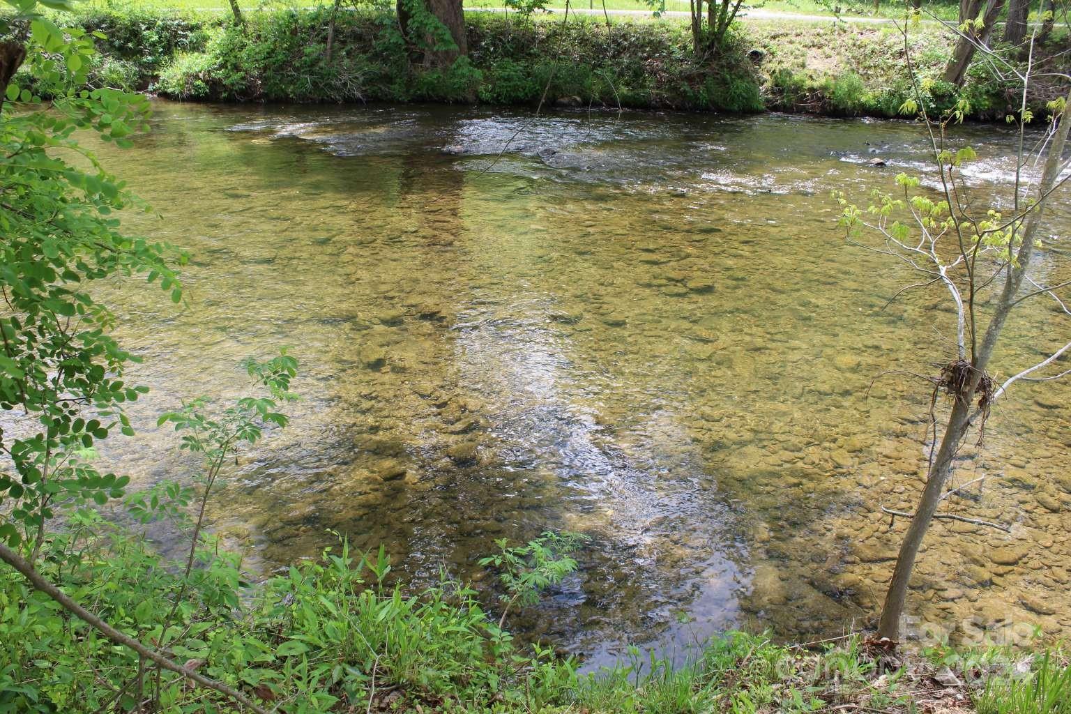 505 Mundy Field Road Canton, NC 28716 - Photo 19 of 22