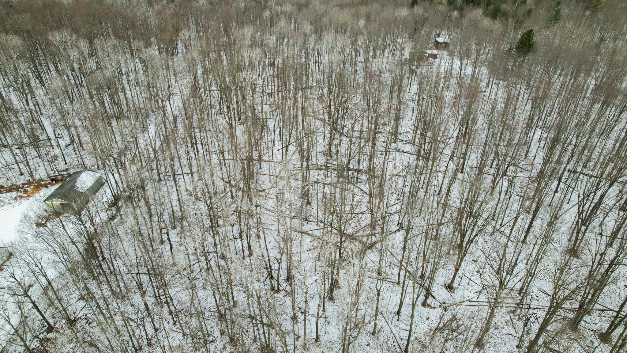 0 West Fike Road Sanford, MI 48657 - Photo 4 of 8