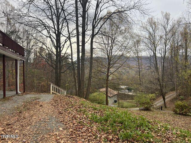 150 Thomas And Webb Road, Unit 13 Johnson City, TN 37604 - Photo 11 of 46 20241119182701471933000000-o