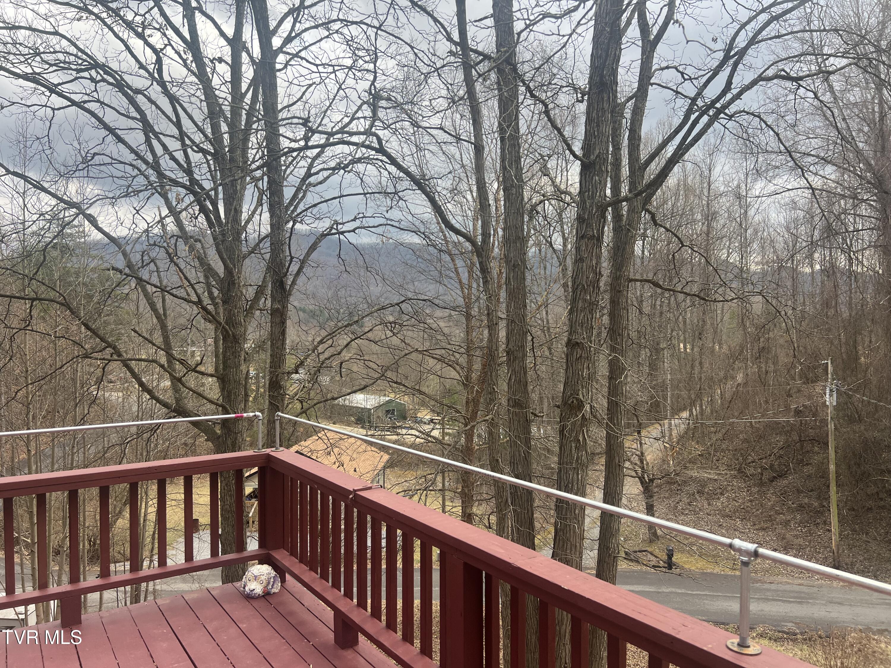 150 Thomas And Webb Road, Unit 13 Johnson City, TN 37604 - Photo 5 of 46 IMG_8308