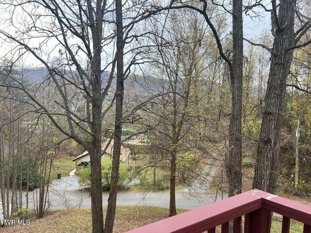 150 Thomas And Webb Road, Unit 13 Johnson City, TN 37604 - Photo 6 of 46 20241119182704267660000000-o