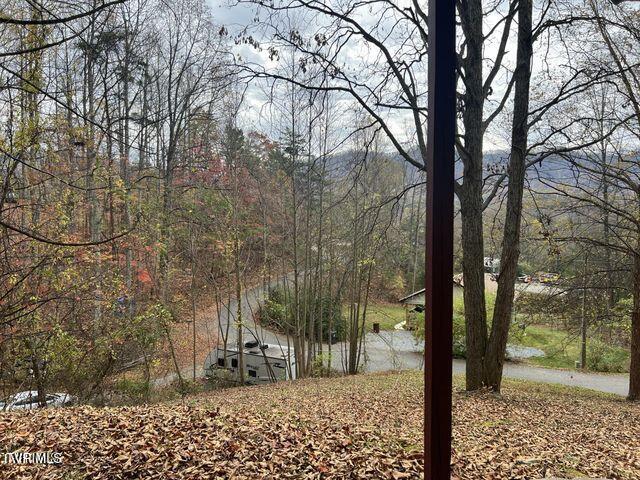 150 Thomas And Webb Road, Unit 13 Johnson City, TN 37604 - Photo 7 of 46 20241119182741314641000000-o