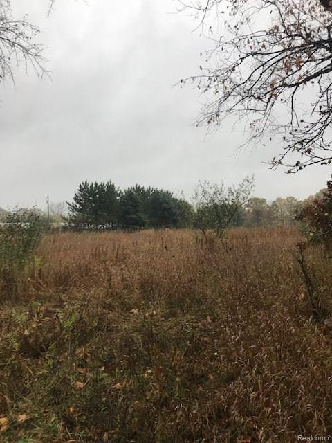 Vl 5-acres Southwest Vl 5-acres Sw Barron Road Howell, MI 48855 - Photo 3 of 14