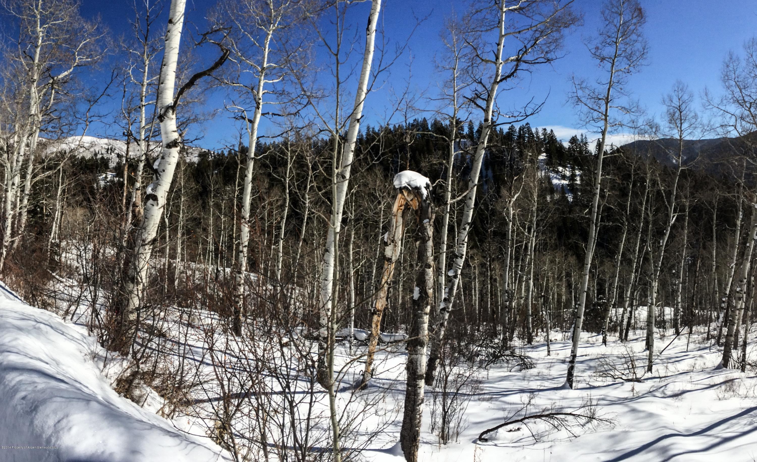 Tbd Wapiti Way Basalt, CO 81621 - Photo 5 of 12 The Lot Winter
