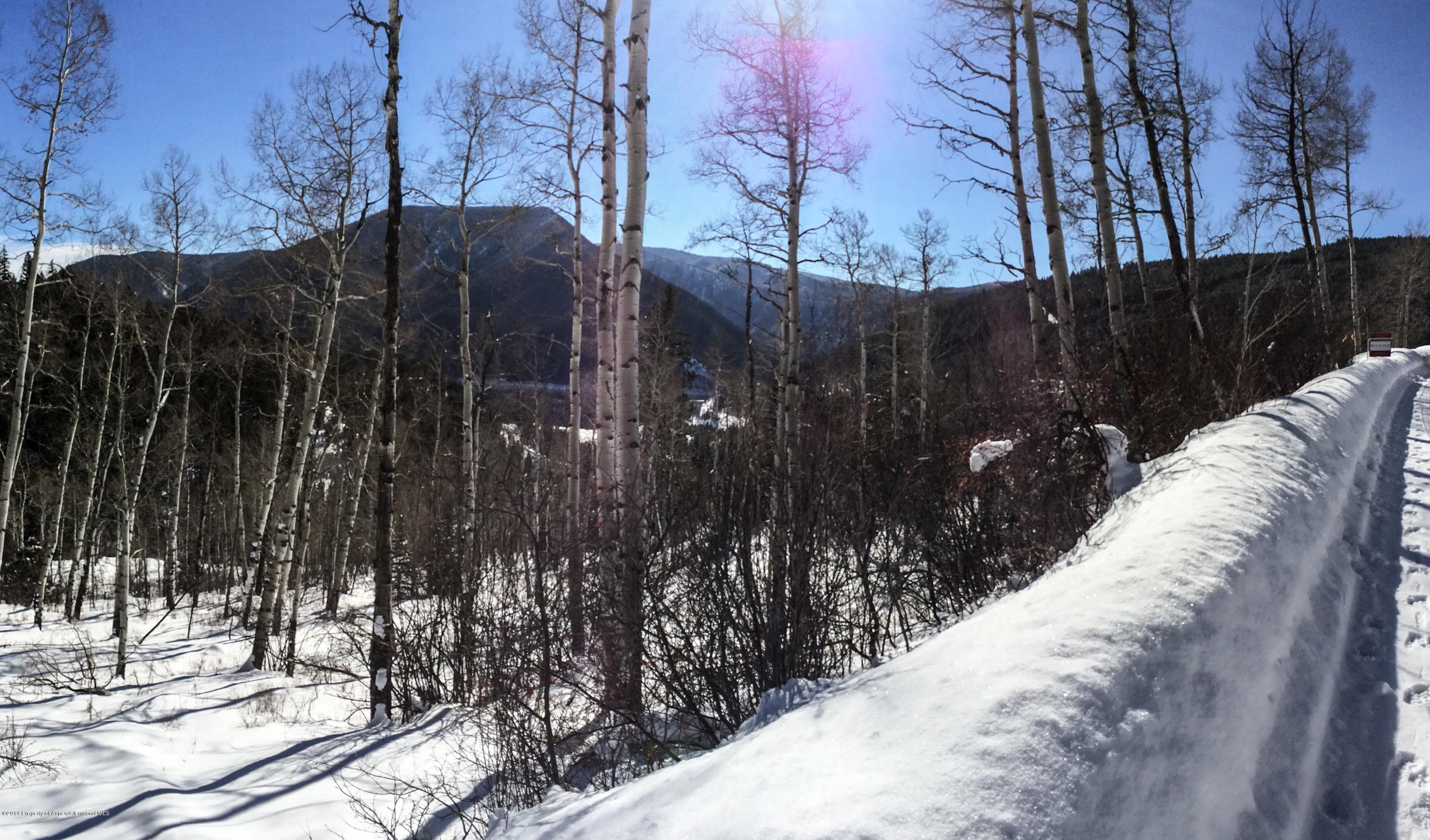 Tbd Wapiti Way Basalt, CO 81621 - Photo 6 of 12 The Lot Winter