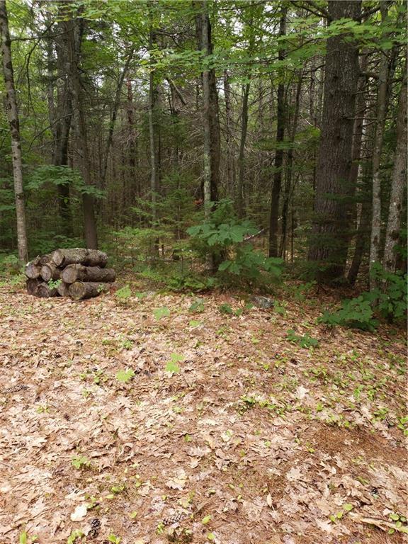 643 Shedd Road Norway, ME 04268 - Photo 17 of 21 Photo