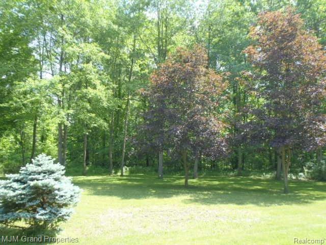 12650 Wells Road Milan, MI 48160 - Photo 17 of 18 Side View 2.jpg