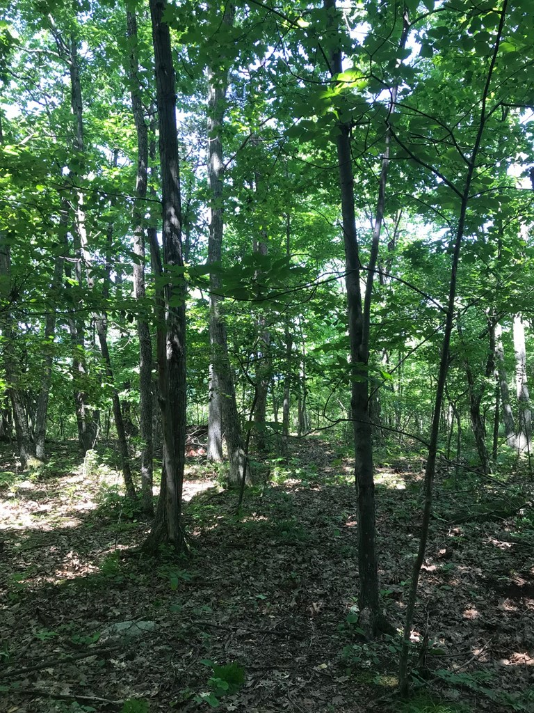 West Whitefish Bay Road Sturgeon Bay, WI 54235 - Photo 19 of 28