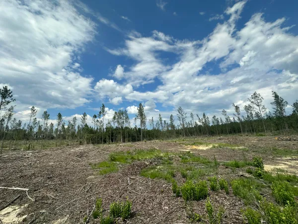 $145,854 | Parcel C Yellow River Baptist Church Road, Baker, FL 32531