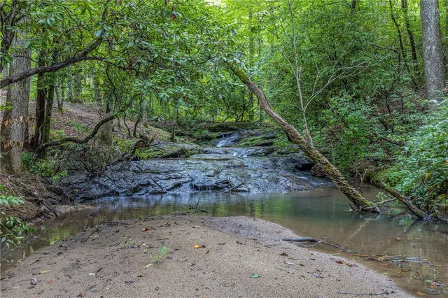 $794,000 | 160 Julie Way, Pickens, SC 29671