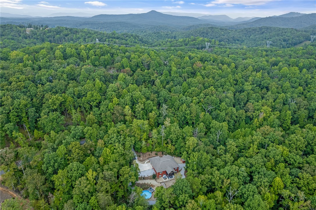 160 Julie Way Pickens, SC 29671 - Photo 42 of 50