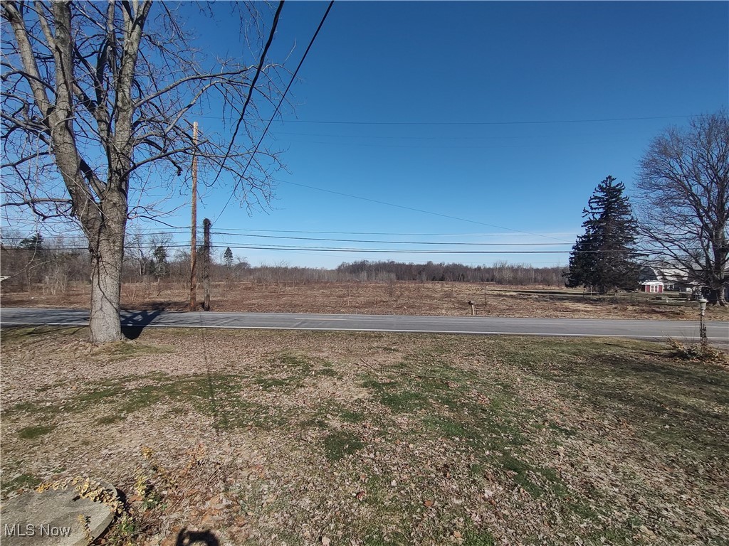 5704 Middle Ridge Road Madison, OH 44057 - Photo 50 of 50 View of yard