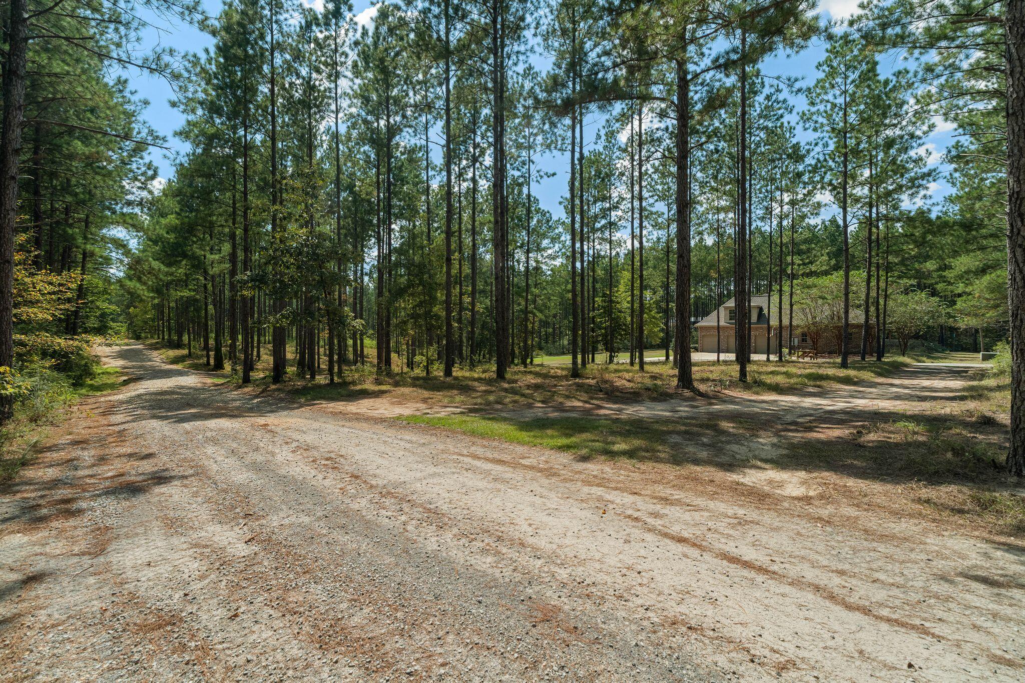 176 Big Hill Road Sumrall, MS 39482 - Photo 7 of 64 Gallery Image 7
