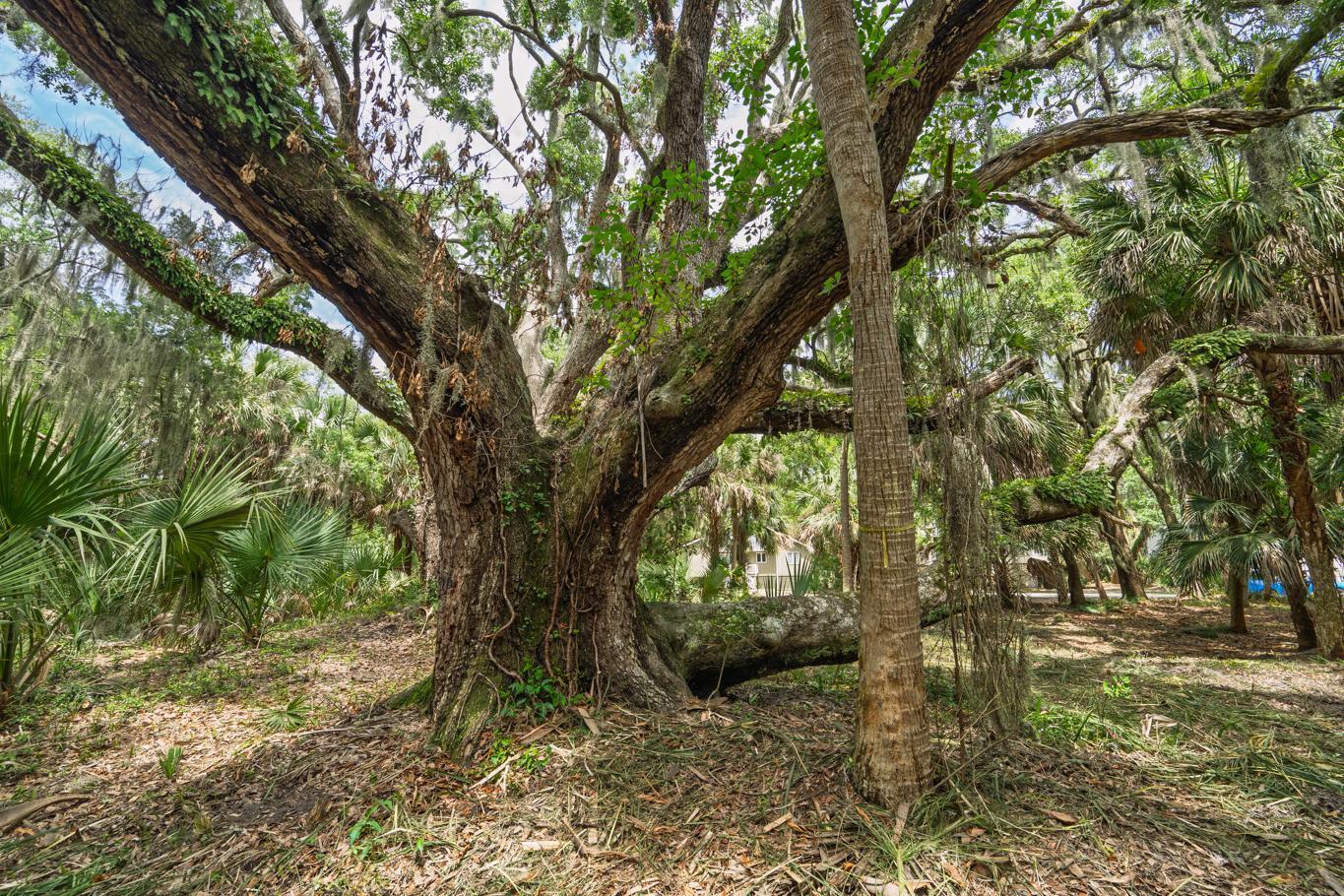 3322 Myrtle Street Edisto Island, SC 29438 - Photo 14 of 26