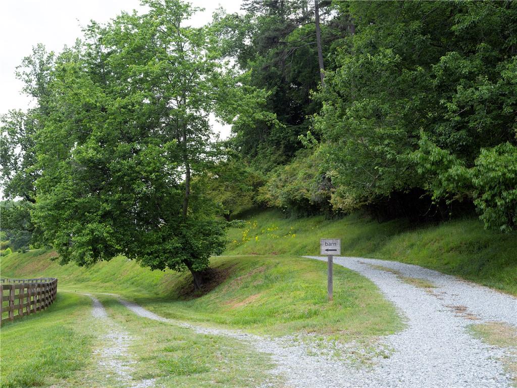 619 Hamp Mill Road Dahlonega, GA 30533 - Photo 10 of 118