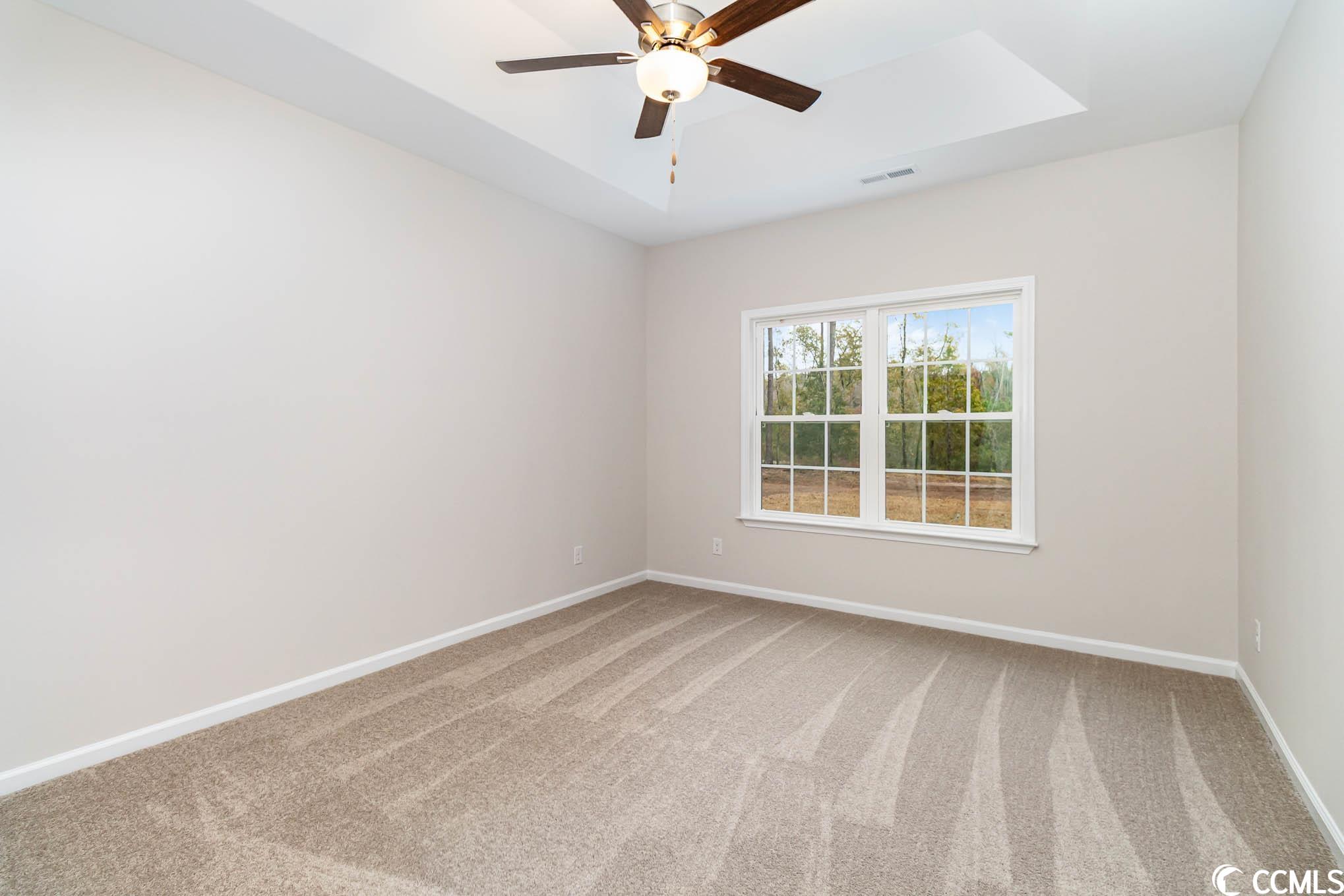 489 Cane Branch Road Loris, SC 29569 - Photo 12 of 23 Gallery Image 12
